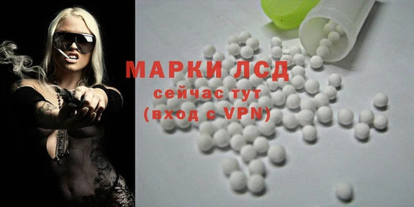 a pvp Алзамай